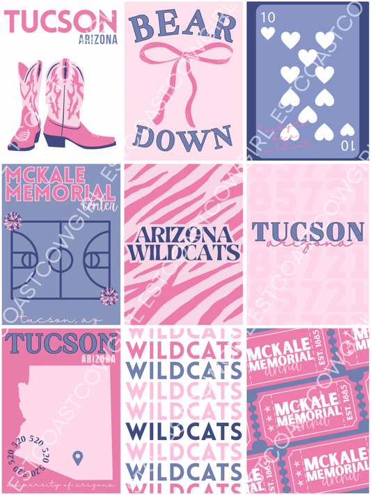 University of Arizona, Tucson