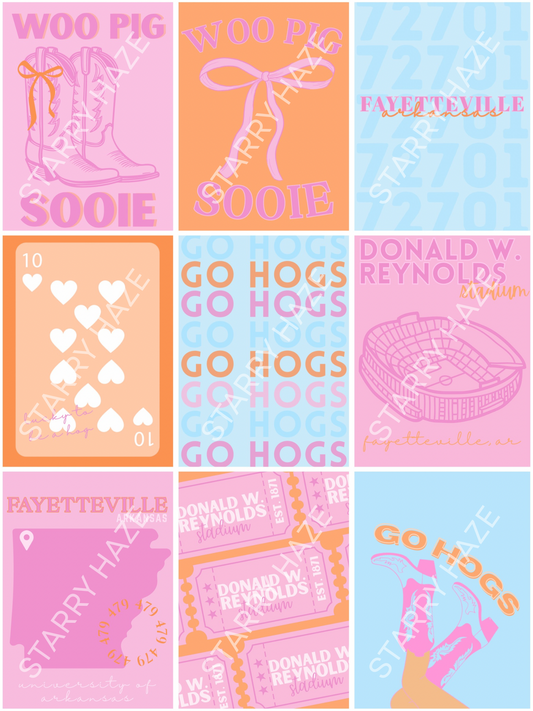 University of Arkansas, Fayetteville V2