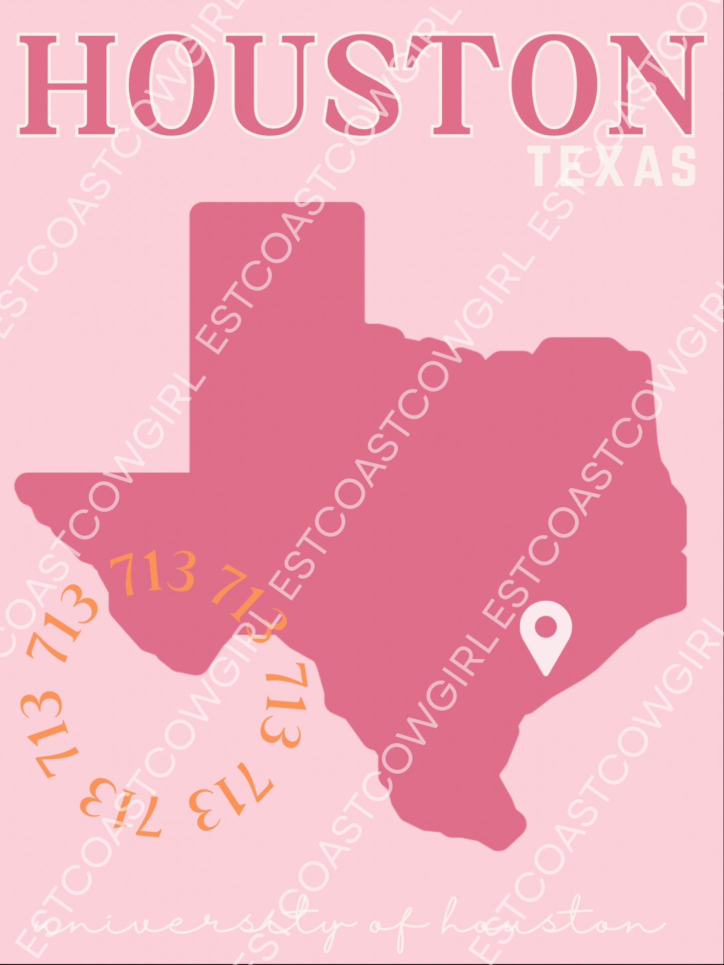 University of Houston, Houston