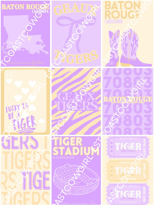 Louisiana State University (LSU), Baton Rouge