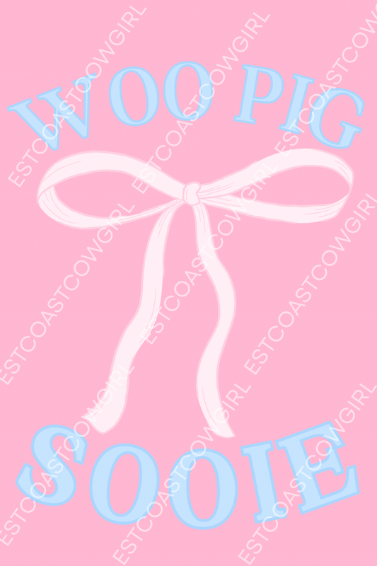 University of Arkansas, Fayetteville