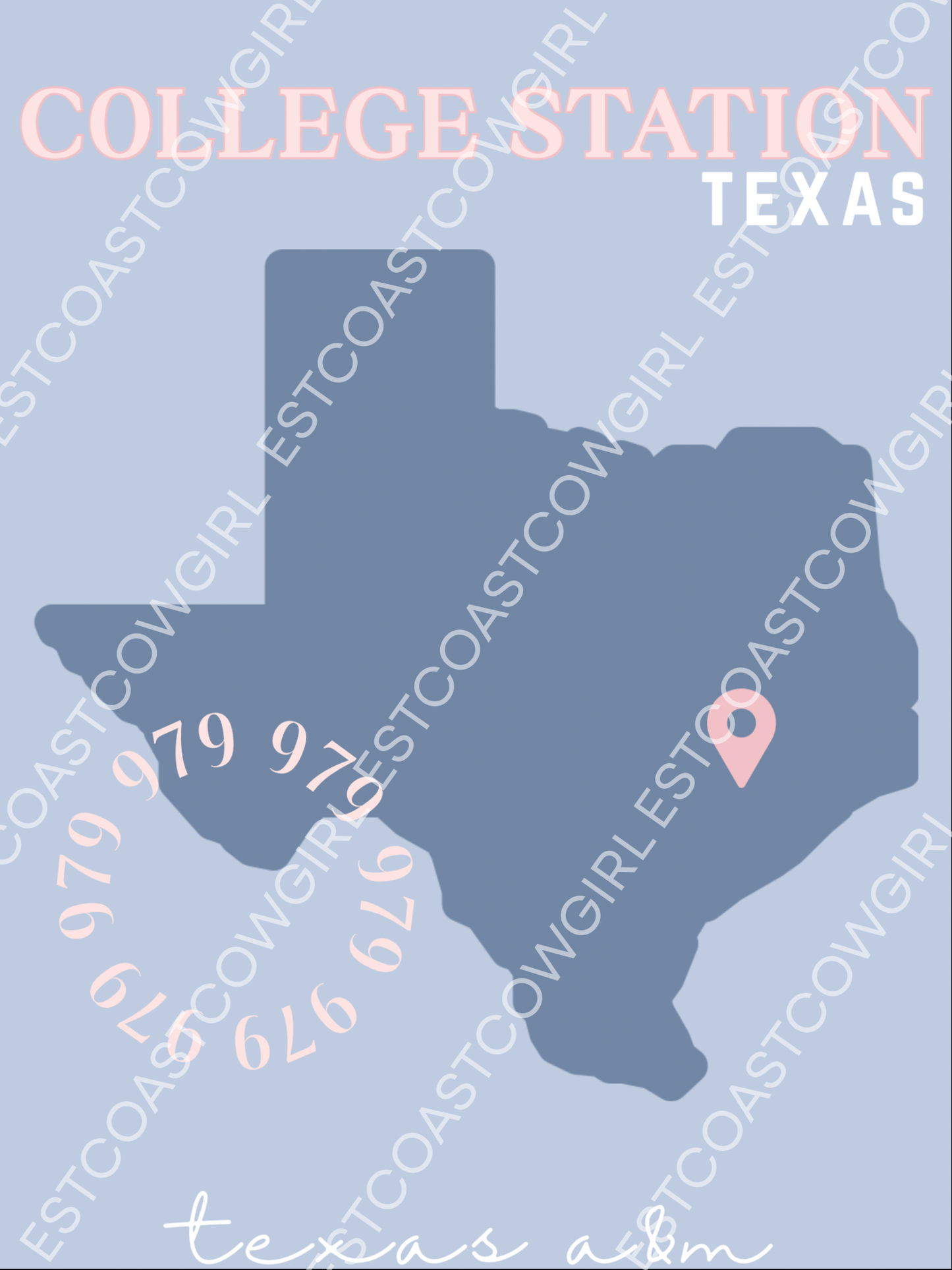 Texas A&M University, College Station