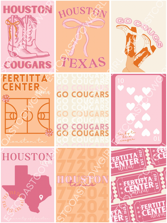 University of Houston, Houston