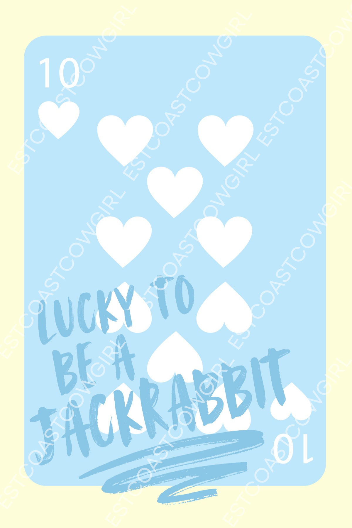 South Dakota State University, Brookings