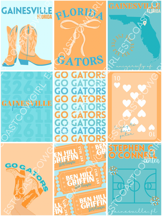 University of Florida, Gainesville