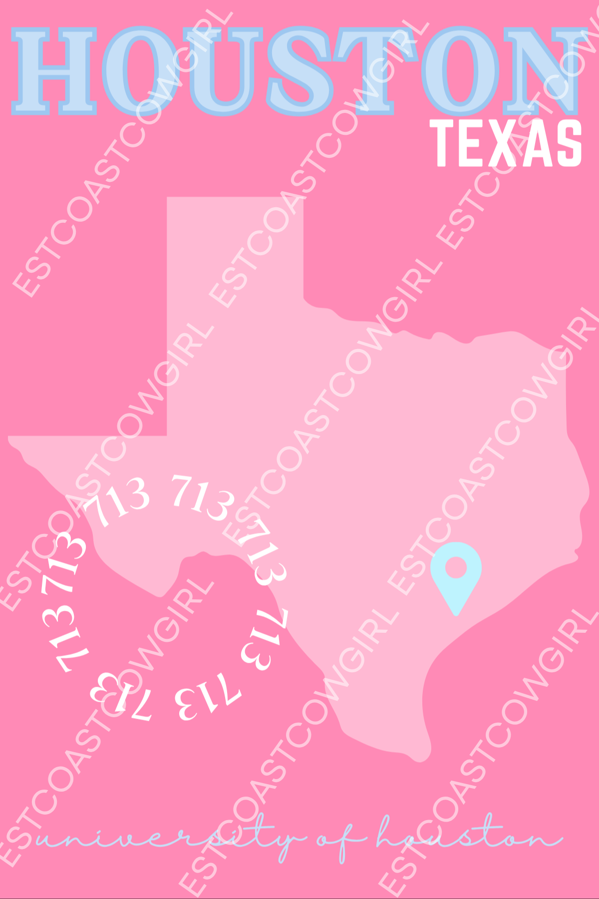 University of Houston, Houston