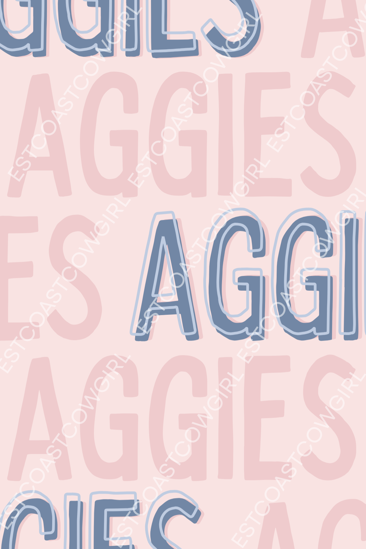 Texas A&M University, College Station